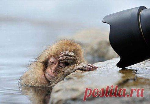 "Уйди , старуха, я в печали...."