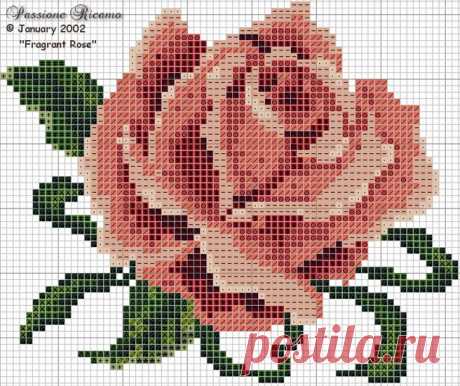 вышивка крестиком роза