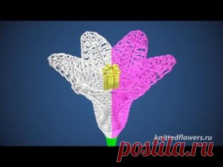 До чего дошел прогресс. | Марина Феддер | Яндекс Дзен