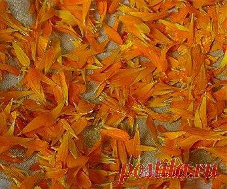 Как снять интоксикацию организма? | Секреты красоты и здоровья