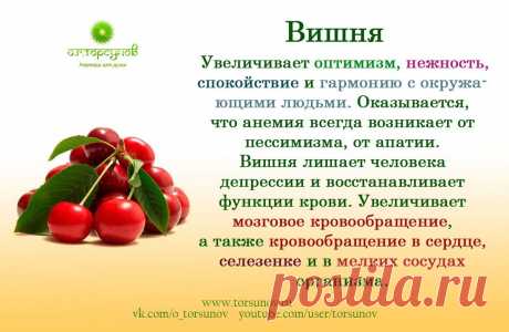 Вишня
