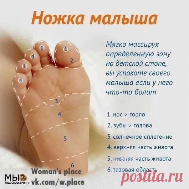 Woman's place|Прекрасная женщина, лучшая хозяйка