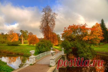 Павловск. Санкт-Петербург   |   Pinterest