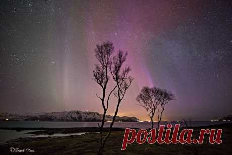 Фотографии пользователя Frank