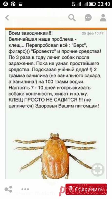 a02221b6390d8ad75581a8fadb000a56.jpg (720×1280)