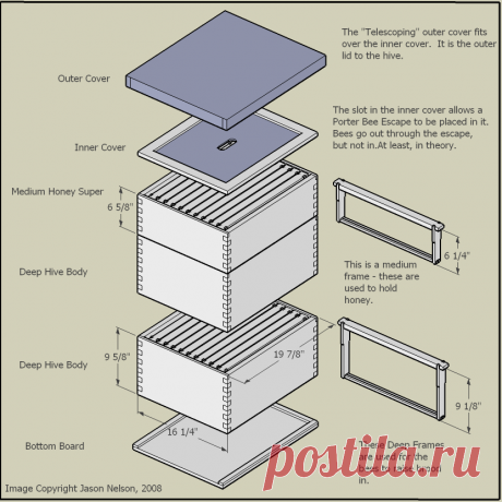 Beekeeping 101: Getting The Right Equipment