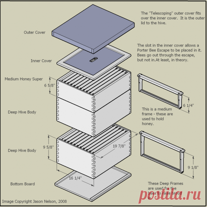 Beekeeping 101: Getting The Right Equipment