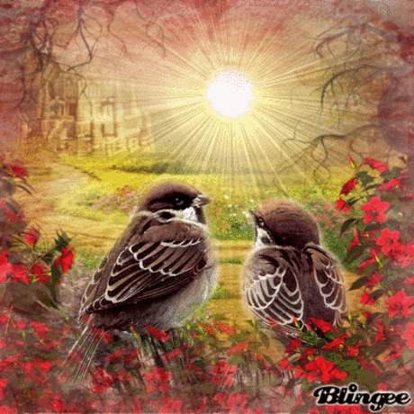 :🌴Hermosos Paisajes y Animales) 🌵.. – Google+