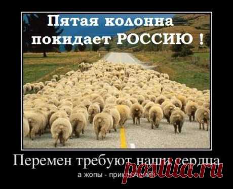 (1) &quot;Команда Путина&quot; (команда Путина - патриоты и будущее России)