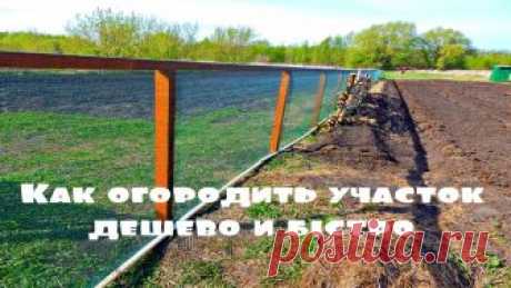Как огородить участок дешево и быстро