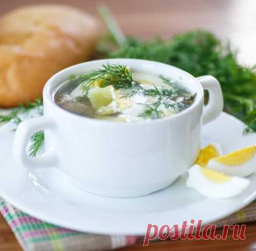 Щавелевый суп с курицей – пошаговый рецепт с фото от Петелинки