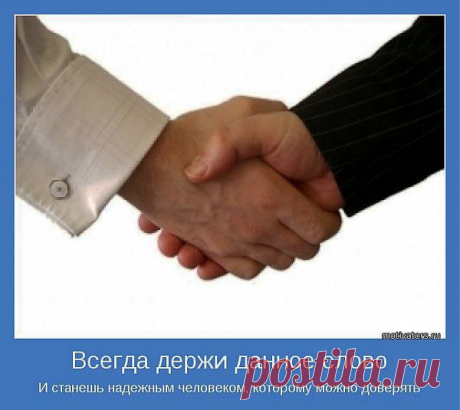 Настоящая дружба - редкость, к сожалению