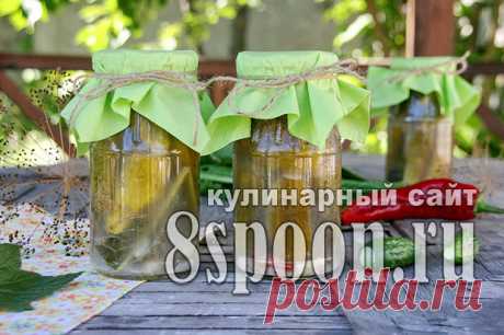 Огурцы на зиму горячим способом: рецепт от 8 Ложек.ру