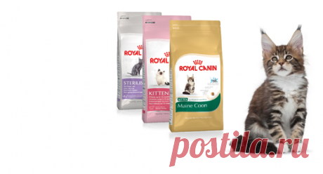 Главная - Royal Canin