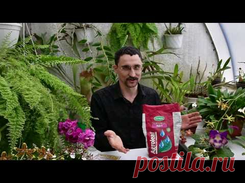 Что нужно знать об удобрениях для комнатных растений