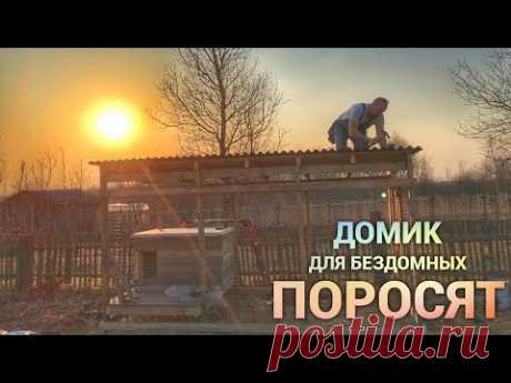 Просто Константиновы доделывают вольер для собаки.