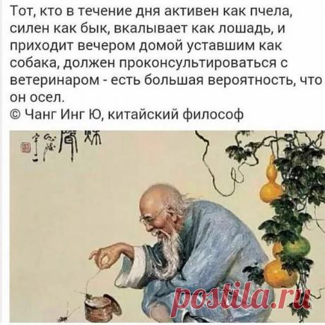 когда мне навязывают китайская мудрость: 1 тыс изображений найдено в Яндекс.Картинках