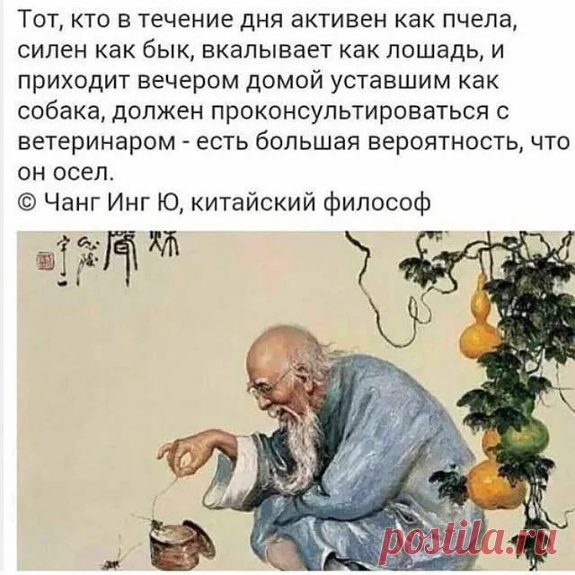 когда мне навязывают китайская мудрость: 1 тыс изображений найдено в Яндекс.Картинках