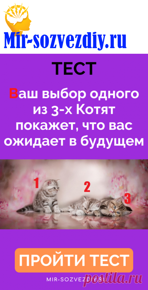 Тест: Ваш выбор одного из 3-х Котят покажет, что вас ожидает в будущем