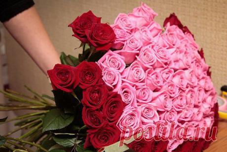 Красивые Цветы  Для Тебя