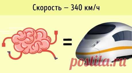 10 доказательств того, что ваш организм мощнее любого суперкомпьютера. Просто невероятно какую мощь мы таим в себе! — Центр обучения Профессионалы.ru — Профессионалы.ru