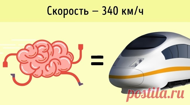 10 доказательств того, что ваш организм мощнее любого суперкомпьютера. Просто невероятно какую мощь мы таим в себе! — Центр обучения Профессионалы.ru — Профессионалы.ru