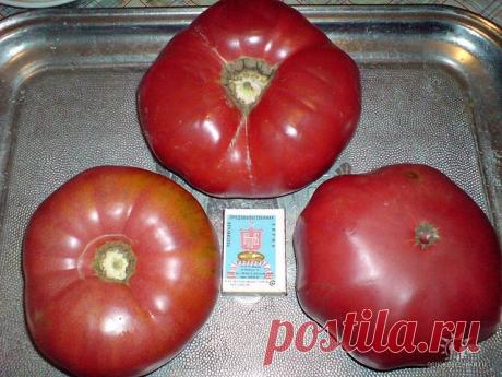 Сергей Кожевников
60 лет, Россия, г.Ликино-Дулево