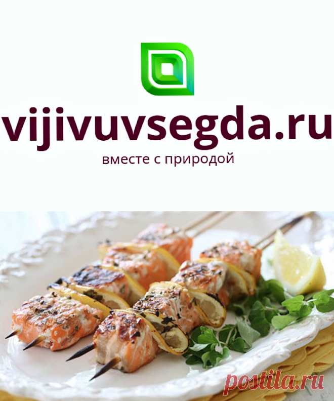 шашлык из судака на мангале рецепт