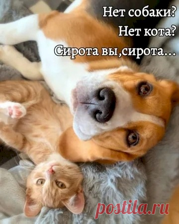 569a4927.jpg (360×450)