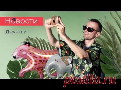 НОВОСТИ - ДЖУНГЛИ, новинки в сфере оформления 2024