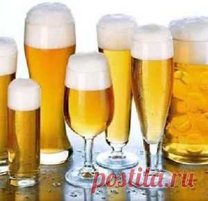 Роль алкоголя в питании