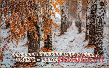 ЗДРАВСТВУЙ,НОЯБРЬ!)))