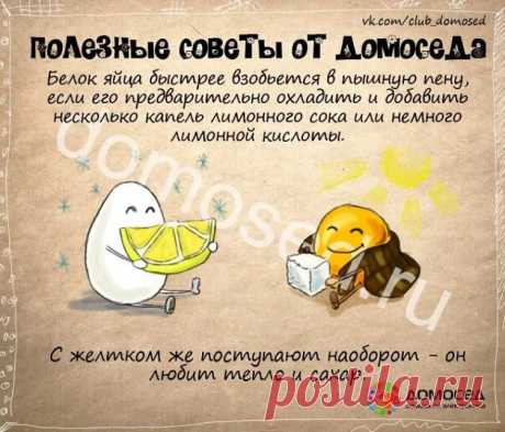 полезные советы на все случаи жизни: 14 тыс изображений найдено в Яндекс.Картинках