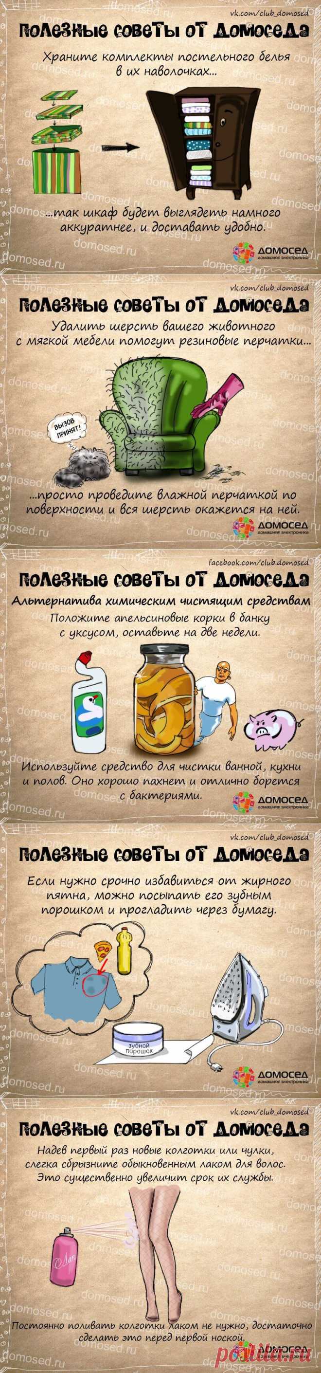 Полезные советы от Домоседа