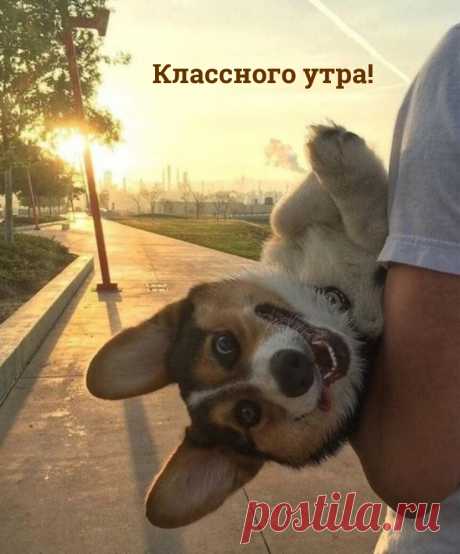 мм