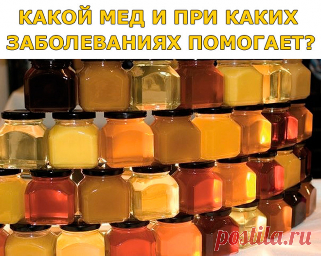 (59) Одноклассники