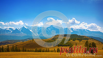 Stock Photos, Royalty-Free Images & Video Footage By Dreamstime Stock Photography