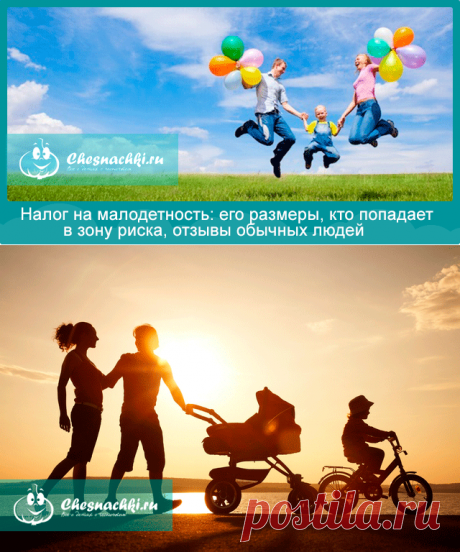 Налог на малодетность: какой размер, кто будет платить?