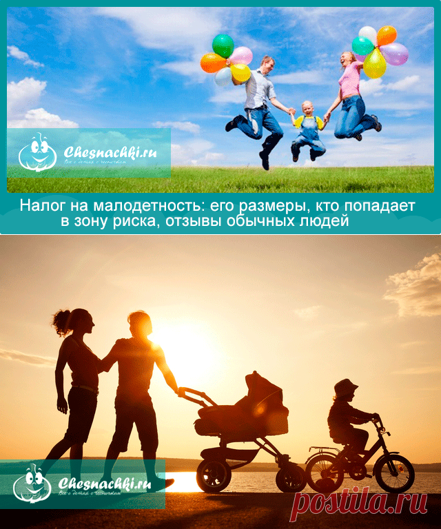 Налог на малодетность: какой размер, кто будет платить?