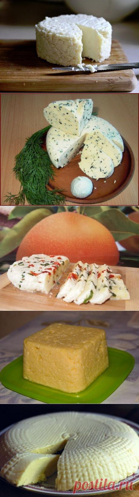 ТОР - 14 Подборка вкусных домашних сыров! | Готовим вместе