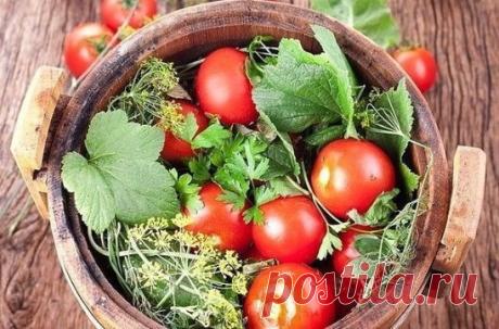Засолка помидоров в бочке 
Особым колоритом обладают помидоры, соленые в бочках. Ко времени появления томата в нашей стране деревянные емкости уже активно использовались для заготовки овощей, мяса, рыбы и грибов на зиму. Такая обработка не только позволяла надолго сохранить продукты, но и придавала им особенный вкус и тонкий древесный аромат. 
Начинать засолку нужно с подготовки бочки и сырья. 
Емкость из дерева - это не простая посуда, она требует соответствующего ухода. Если изделие н