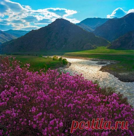 ღГОРНЫЙ АЛТАЙ