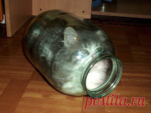 Одноклассники
