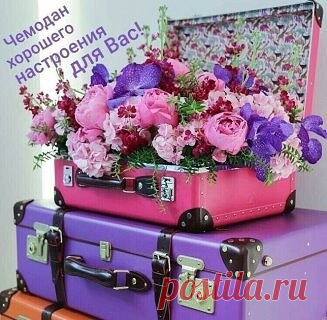 Чемоданы