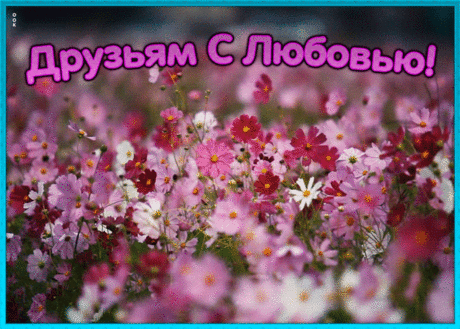 Картинка лучшим друзьям