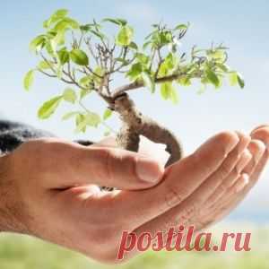 Дачный участок