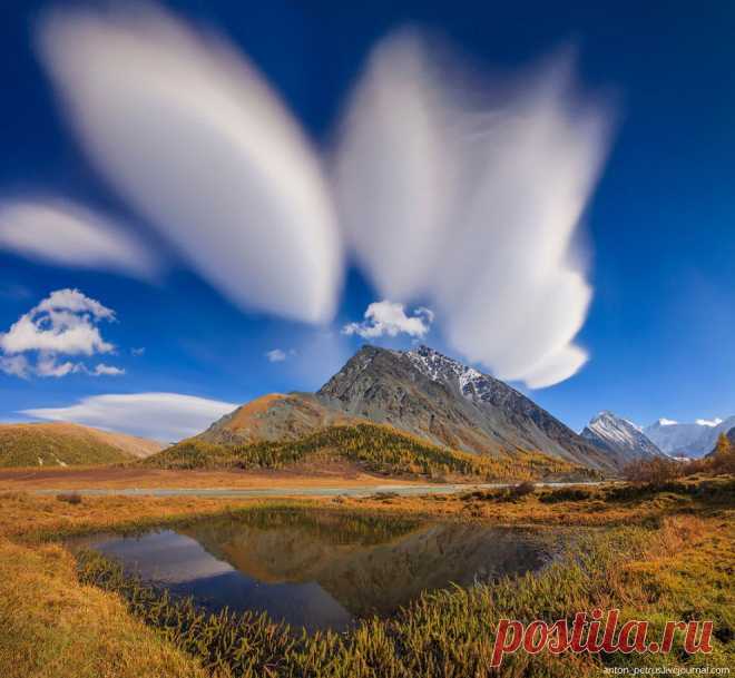 Киевский фотограф | ФОТО НОВОСТИ