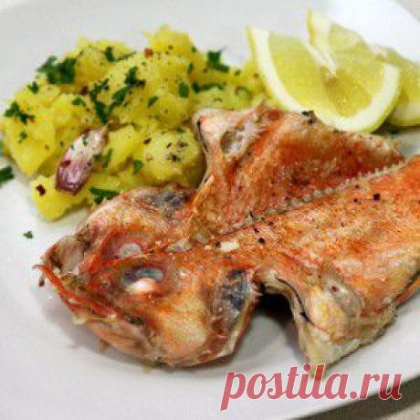 Морской окунь, запеченный в духовке с картофелем рецепт – испанская кухня: основные блюда
