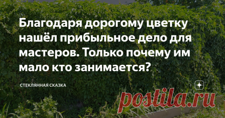 Благодаря дорогому цветку нашёл прибыльное дело для мастеров. Только почему им мало кто занимается? Большой спрос, покупают много, но почему так мало столяров занимается изготовлением изделий для сада и дачи
