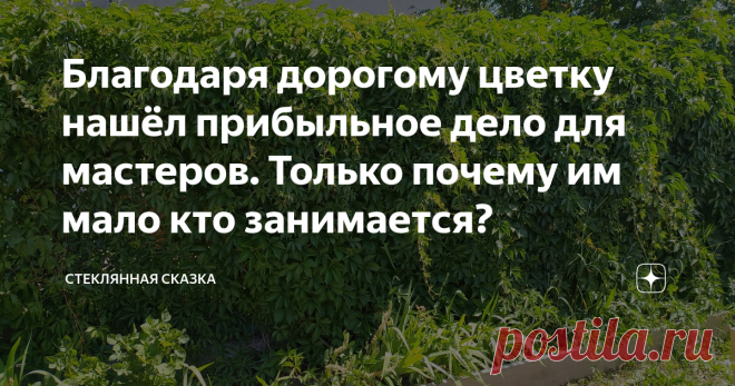 Благодаря дорогому цветку нашёл прибыльное дело для мастеров. Только почему им мало кто занимается? Большой спрос, покупают много, но почему так мало столяров занимается изготовлением изделий для сада и дачи